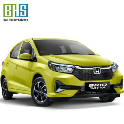 Brio Satya
