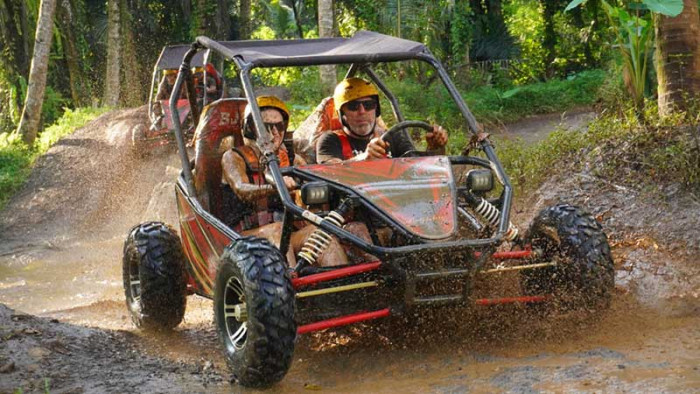 Buggy  UTV