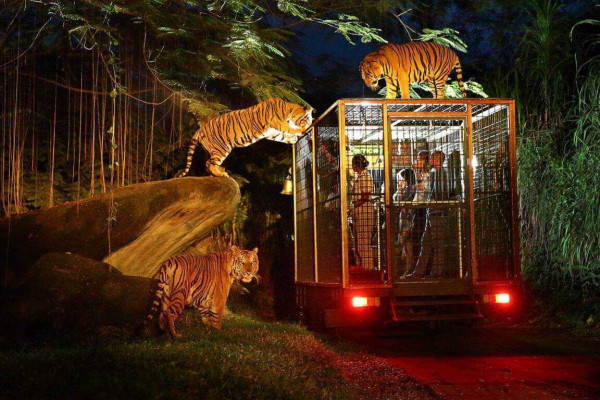 Cave River Tubing + ATV Ride + Bali Glass Bride + Night Safari