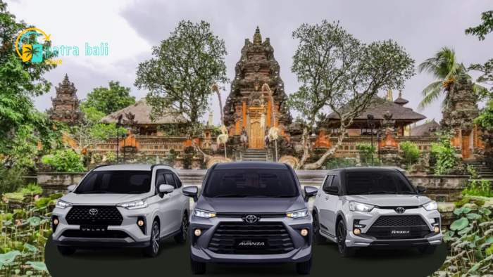 Central Bali Custom Tour (Ubud Tour)