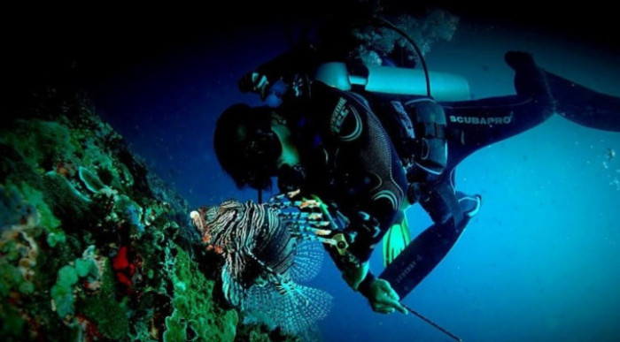 Certified Diver From Nusa lembongan to nusa penida ( 2 Tank dive)