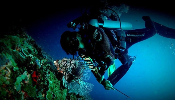 Certified Diver From Nusa lembongan to nusa penida ( 2 Tank dive)