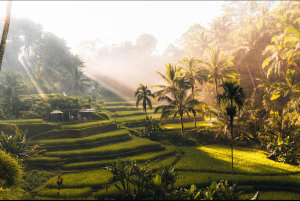 Culture, Coffee & Nature