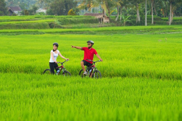 Cycling