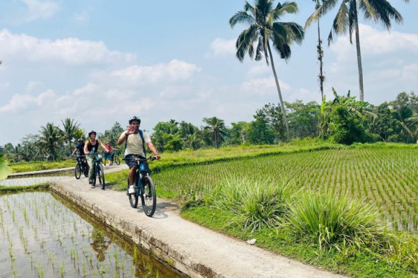 Cycling Ebike - Ubud