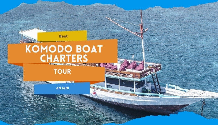 Discover Boat Charter Komodo Island Adventure 3D2N By Anjani