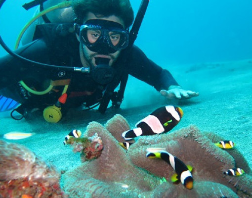 Discover Scuba Diving
