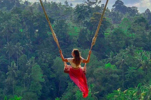 Discover the Magic of Ubud: Monkey Forest, Rice Terraces & Holy Spring Temple Tour
