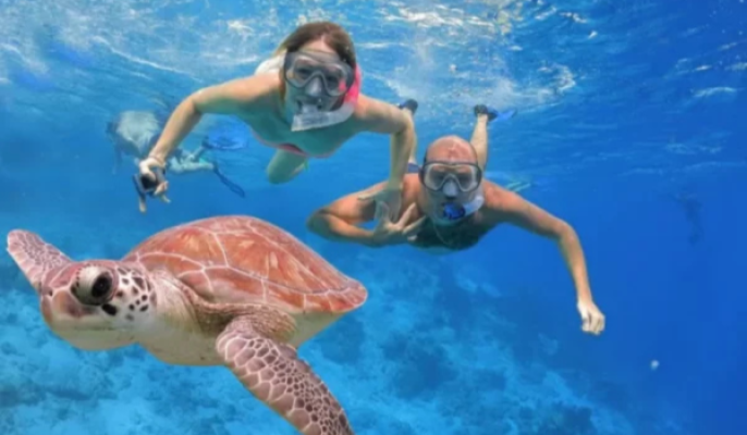 Dive Into Paradise: Snorkeling Adventure at Blue Lagoon
