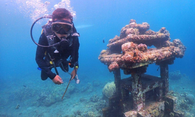Dive Master