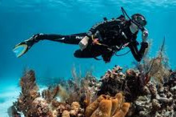 Diving in Nusa Dua