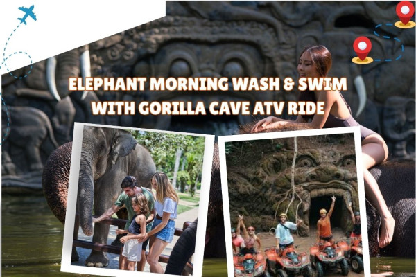Elephant Morning Wash & Swim with Gorilla Cave ATV Ride