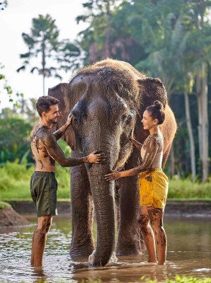 Elephant Mud Fun