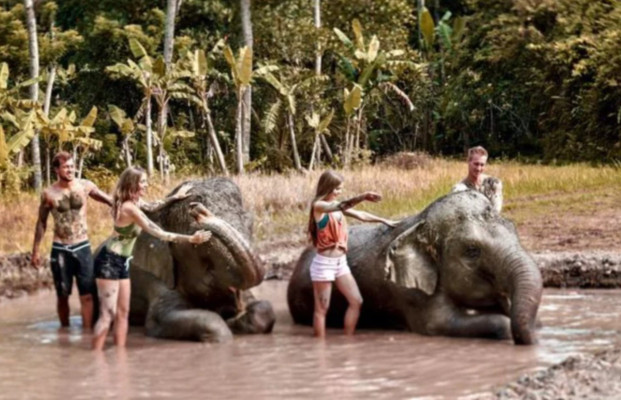Elephant Mud Fun – Bali Zoo Unique Experience