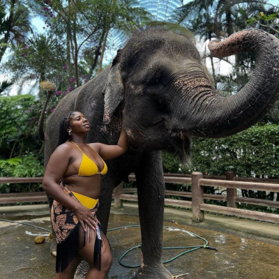 Elephant Sanctuary with Ubud Tour
