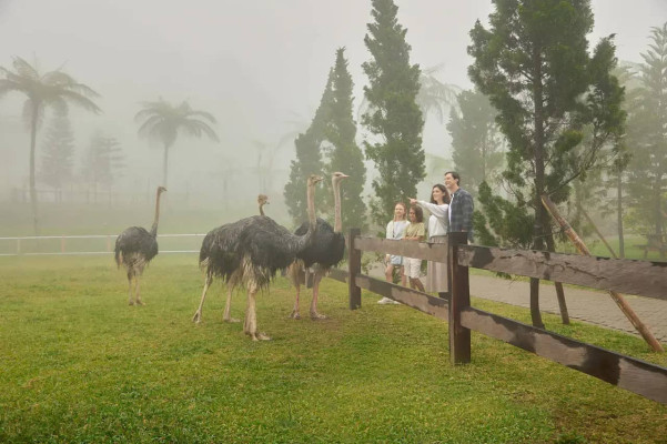 Escape to Nature: Bali Farm House Ticket