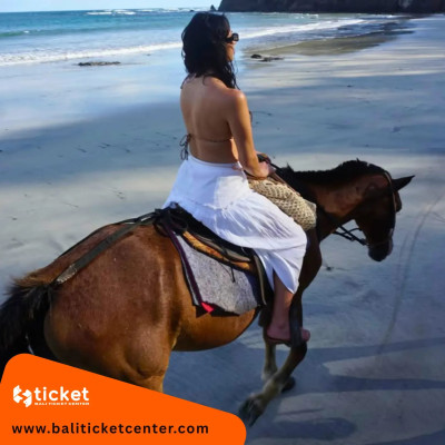 Experience 1-Hour Horse Riding on Bali Black Sand Beach