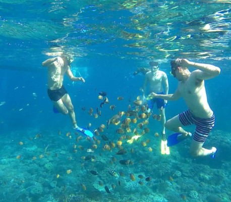 Explore Nusa Penida West, East & Snorkeling Tour