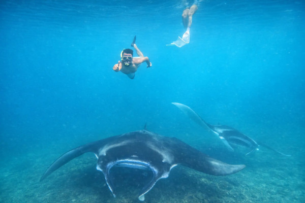 From Bali: Nusa Penida Manta Point Snorkel & Cave Temple