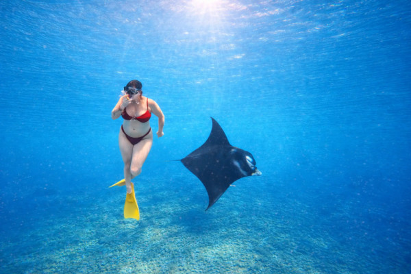 From Bali: Snorkeling at Manta Point Nusa Penida & Land Tour