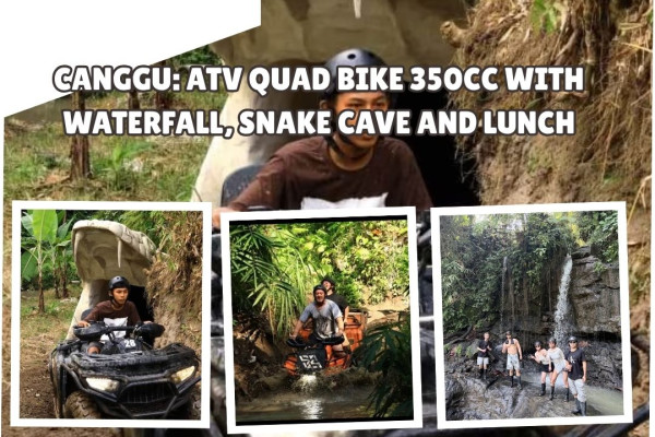 From Canggu: ATV Quad Bike 350cc with Waterfall, Snake Cave and Lunch
