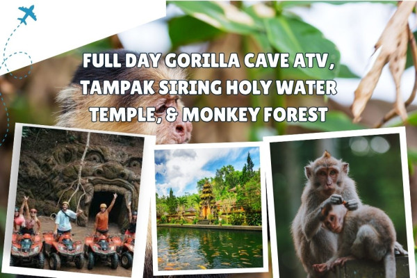 Full Day Gorilla Cave ATV, Tampak Siring Holy Water Temple, & Monkey Forest