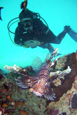 Fun Dive