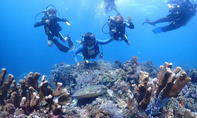 Fun Dives for Certified Divers