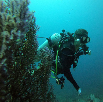 Fun Diving Gili Tepekong / Mimpang