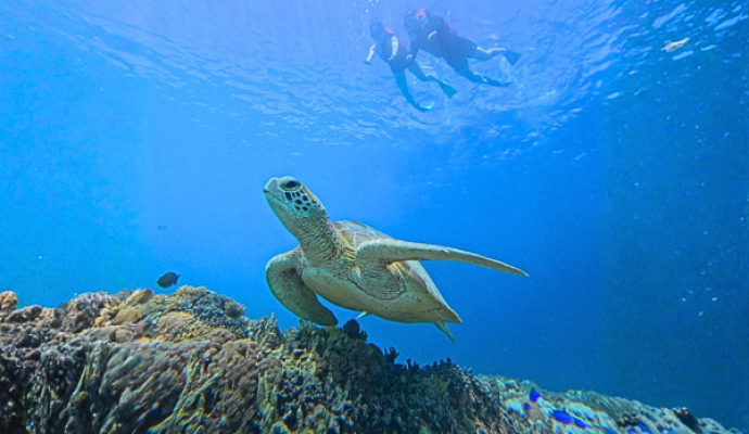 Gili Air: Private Snorkeling Tour with Glass Bottom Boat