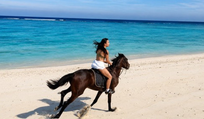Gili Trawangan :Horseback Ride With Photo & Videos Assistance