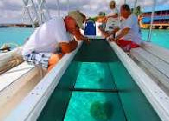 Glass Bottom Boat and Turtle Island Tour Bali In Nusa Dua
