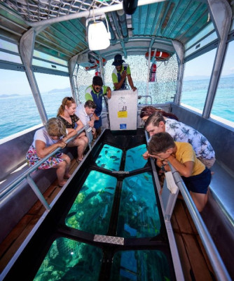 Glass Bottom Boat & Turtle Island Tour