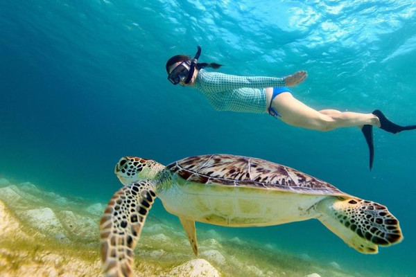 Group Snorkeling