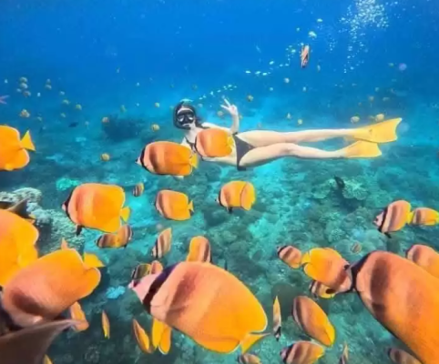 Half Day Trip Snorkeling and Island Tour from Nusa Lembongan