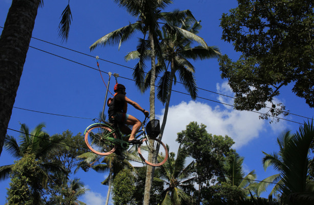 Hanging Bike