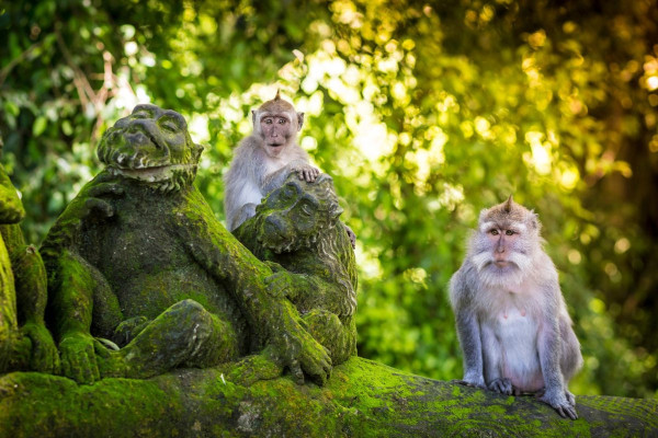 Heritage, Temples & Nature
