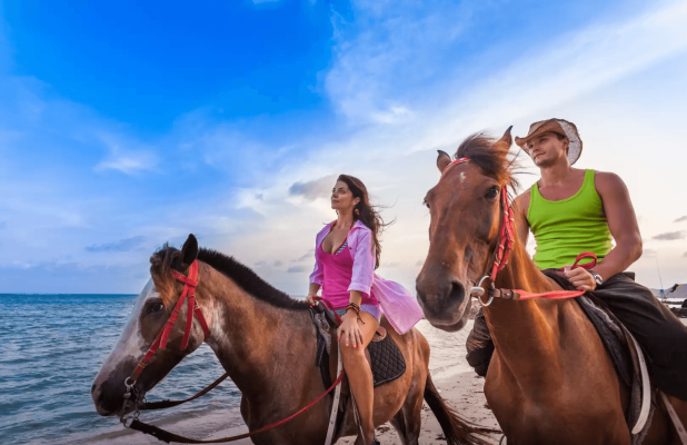 Horse Riding