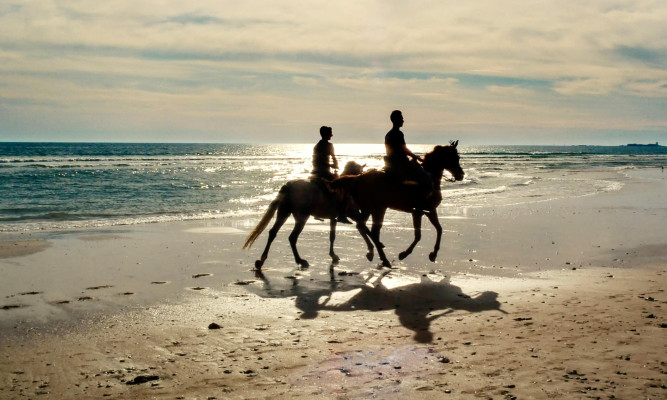 Horse Riding at Sunrise Lembeng Beach
