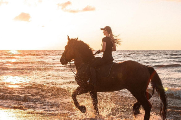 Horse riding ( Base gili air only )
