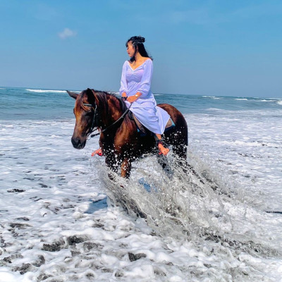 Horse Riding with Ubud Tour