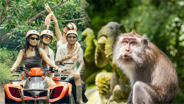 Jambe ATV Bali Quad Bike and Monkey Forest Tour