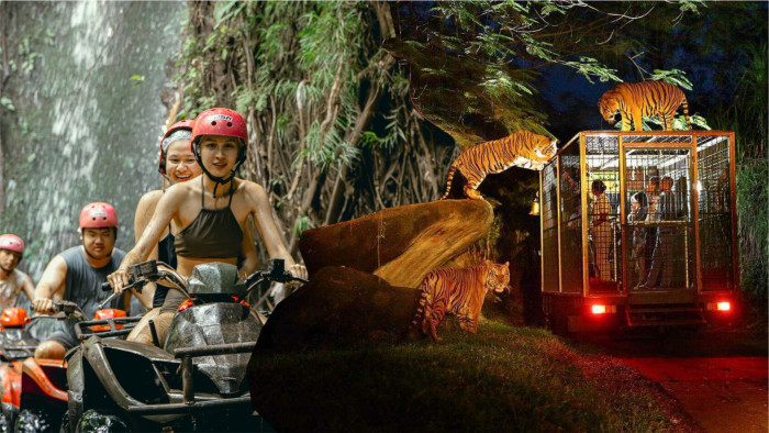 Jambe  ATV Bali Quad Bike and Night Safari Tour