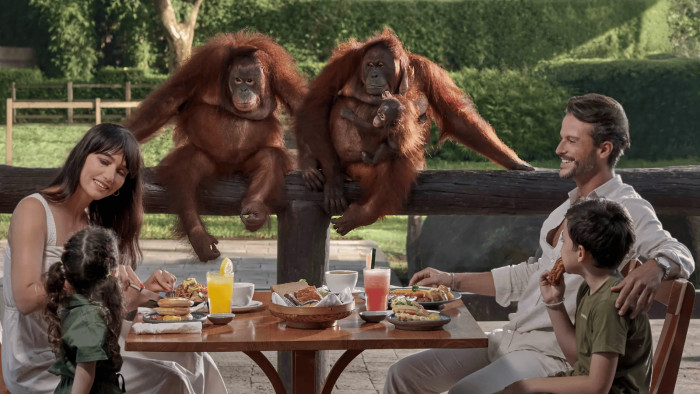 Jungle Bali Quad Bike - Breakfast with Orangutan at Bali Zoo