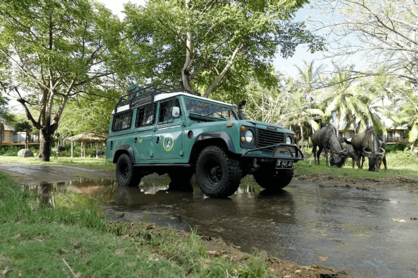 Jungle Hopper Legend Package - Bali Safari Marine Park