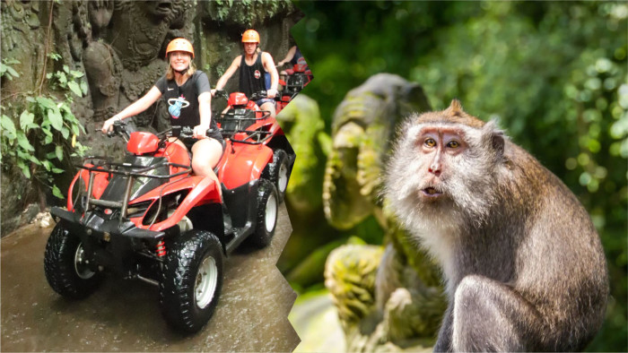 KeepAll ATV Bali Quad Bike and Monkey Forest Tour