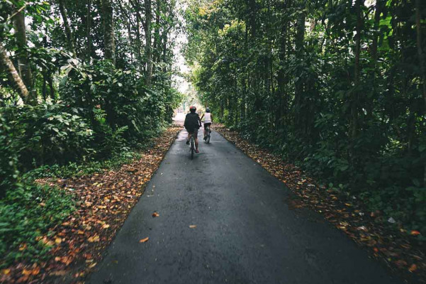 Kintamani Cultural and Nature Cycling Tour