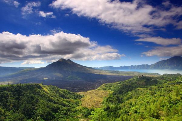 Kintamani Tour Half Day