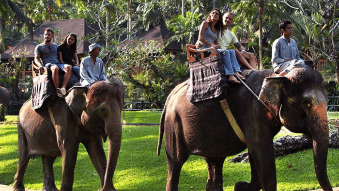 Kuber Bali ATV - Elephant Ride Tour