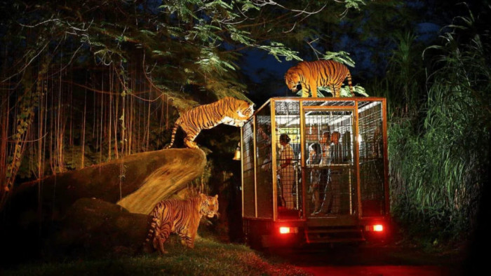 Kuber Bali ATV - Night Safari Tour